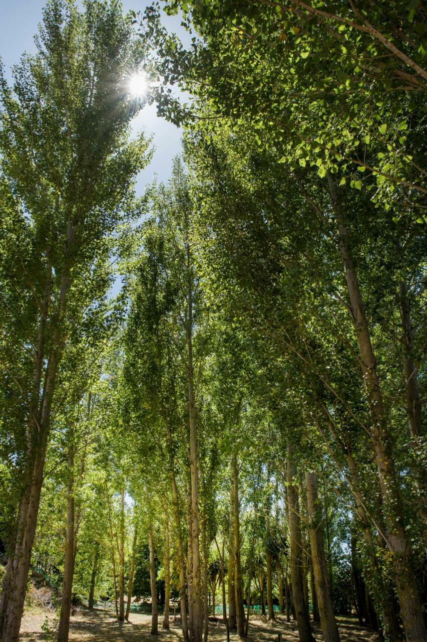 Willow'S Green Blenheim Exteriér fotografie